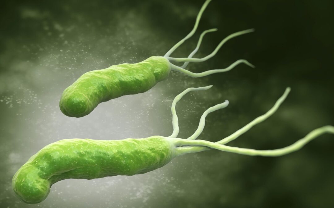 Stomach ulcer bacteria was just found to help fight Alzheimer’s