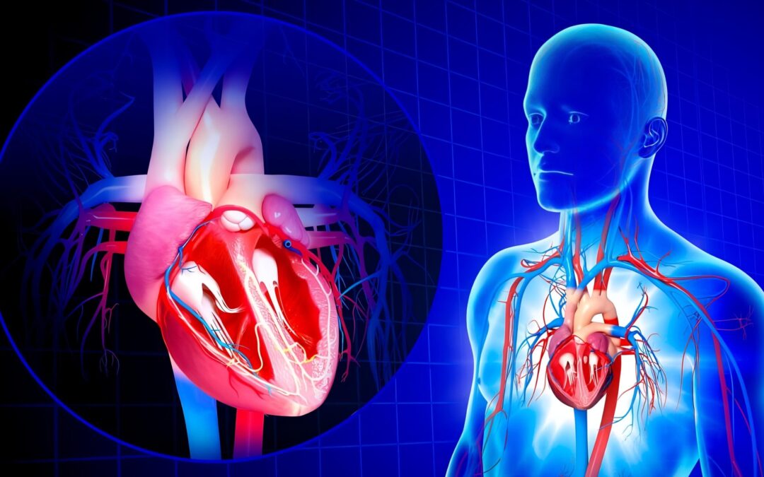 The magnetic field produced by the heart is 100X stronger than the brain’s and it can be detected 3 feet away