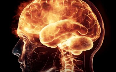 There’s a brain circuit that control show fast you recover from set backs. Each challenge you over come strengthens it by reinforcing this specific neural path way.