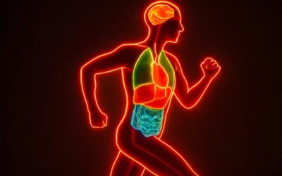 Research shows exercise transforms every organ in the human body at the molecular level