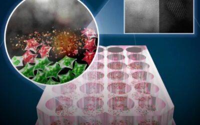 30 minutes of LED light kills 92% of cancer cells without damaging healthy ones