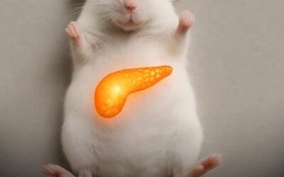 diabetes was just permanently cured in mice